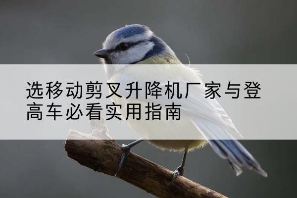 唐县电动升降机厂家-选移动剪叉升降机厂家与登高车必看实用指南