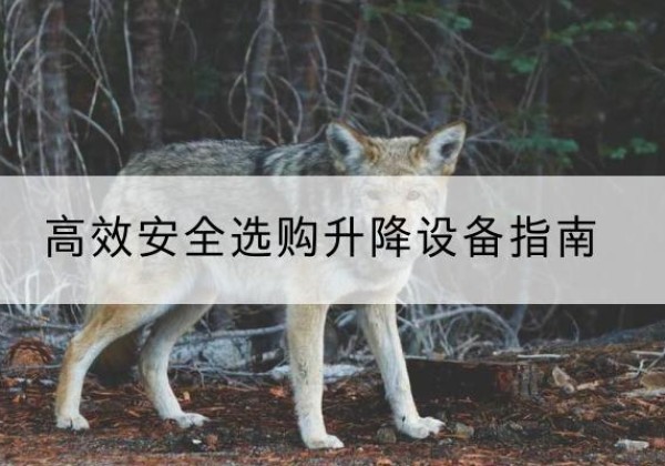 唐县升降货梯厂家推荐-*安全选购升降设备指南