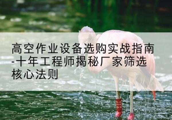 唐县剪叉式升降机厂家-高空作业设备选购实战指南-十年工程师揭秘厂家筛选核心法则
